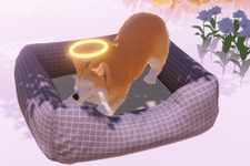 死んだ犬となって天国で飼い主を探すADV『My Little Puppy』体験版配信。飼い主をお迎えに行く旅へ出発 画像